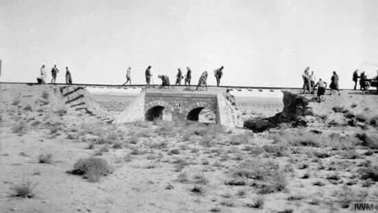 ������� ������� ������