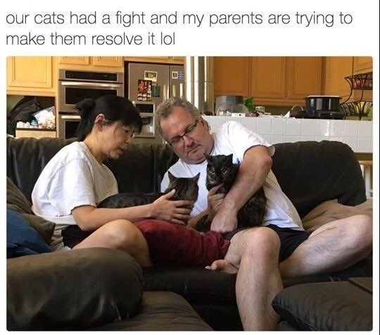 Meowganizer's tweet photo. I tried this once. 😝 https://t.co/EMwTBIvM5w
