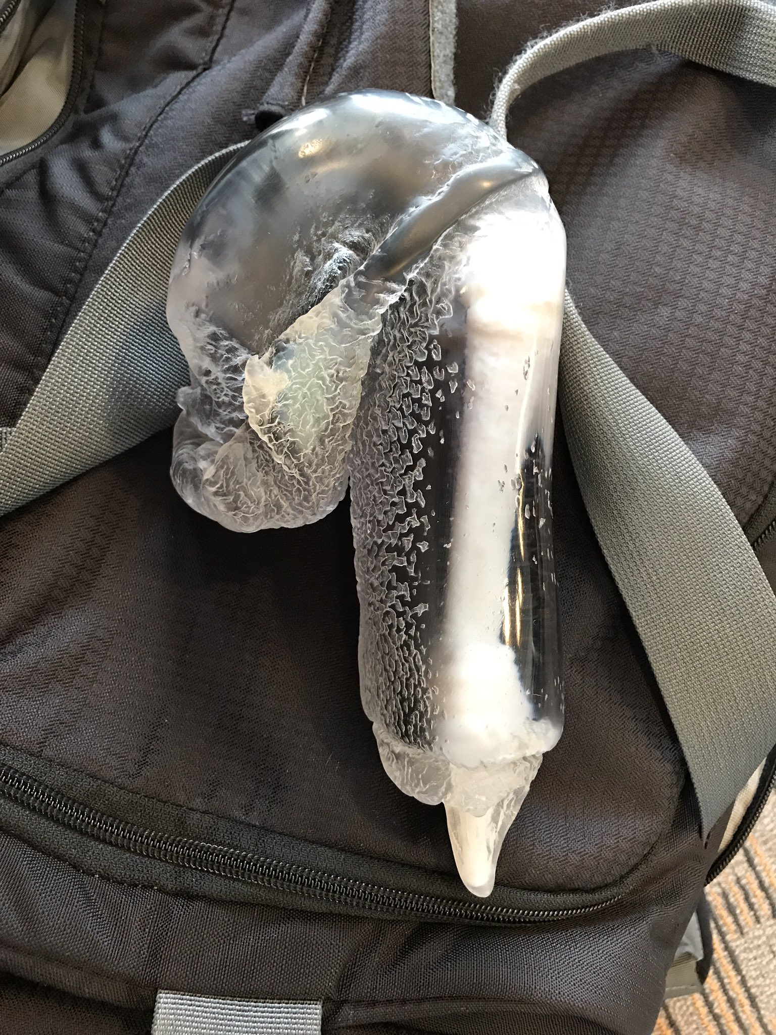 Jumping jack Versterken voor mij Marty Cohn's Lab on Twitter: "The TSA agent who searched my bag called 3 more agents to gawk @ the 3D printed mouse penis. Said she needed a break bc her mind Jumping jack Versterken voor mij Marty Cohn's Lab on Twitter: "The TSA agent who searched my bag called 3 more agents to gawk @ the 3D printed mouse penis. Said she needed a break bc her mind