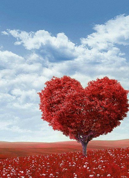 happy girl (@j1222814) on Twitter photo 