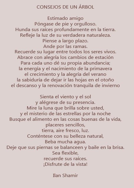 Elixires's tweet photo. Consejos de un árbol
💕 ¨ ☆ https://t.co/ndydnPfzTA
#IlanShamir https://t.co/utWhxxusmZ