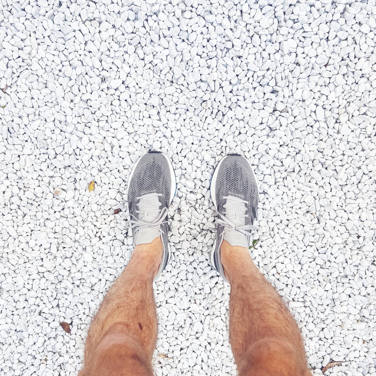 jouanito's tweet photo. 1 ville. 11 teams. 24 heures. Le maximum de kilometres à parcourir. #whyirunSentier #whyirunParis #PureBOOST DPR https://t.co/EsdRFlfLLV