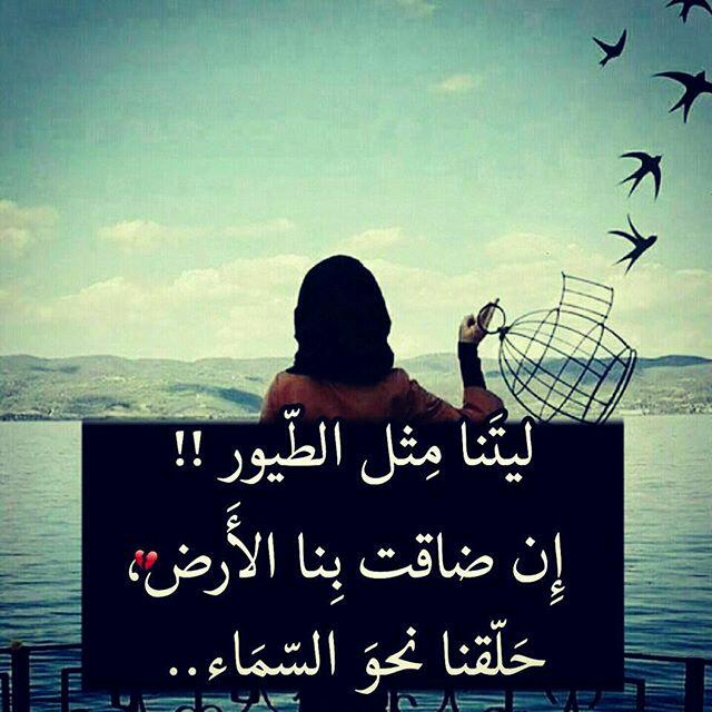 rawan99___ tweet picture