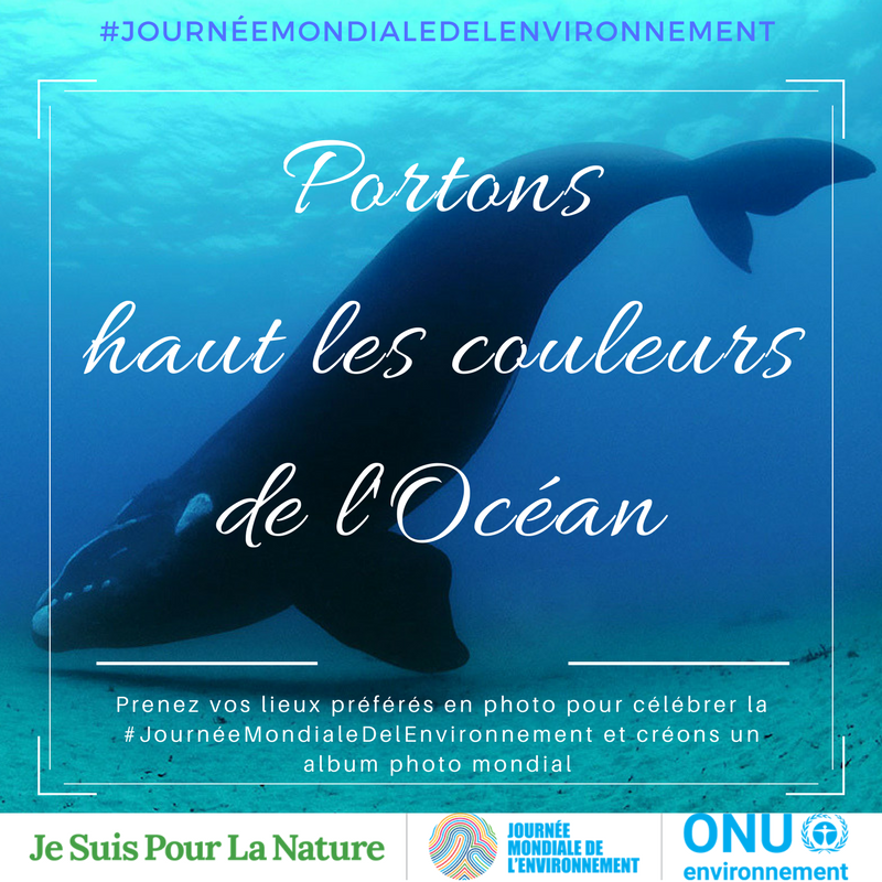Biomarine_fr's tweet photo. Pour la #JournéeMondialeDelEnvironnement le 5 juin Répondons à l'appel de l'@UNEPfr pour l'Océan 🌊🌊
#PourLaNature https://t.co/iQFpSLPj7d https://t.co/DZlqa2uPkH