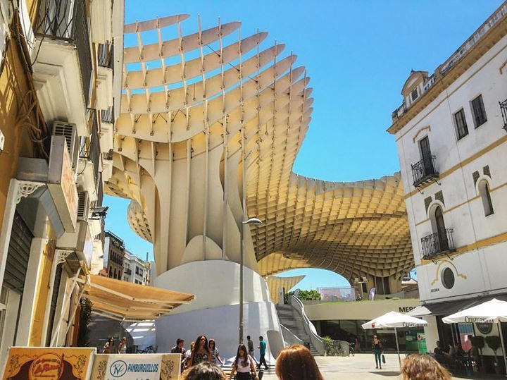 Henri K. W. Rapp tweet media