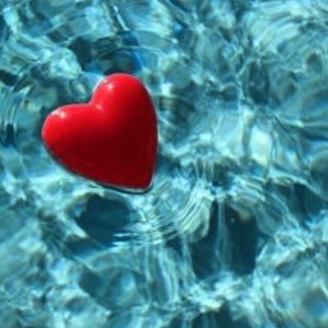 GPG_SwimClub's tweet photo. The Lucy Stemmler Scholarship essay deadline has been extended to Monday, May 22. Email your essay to abyarski@yahoo.com. https://t.co/5cg4wQDzP2
