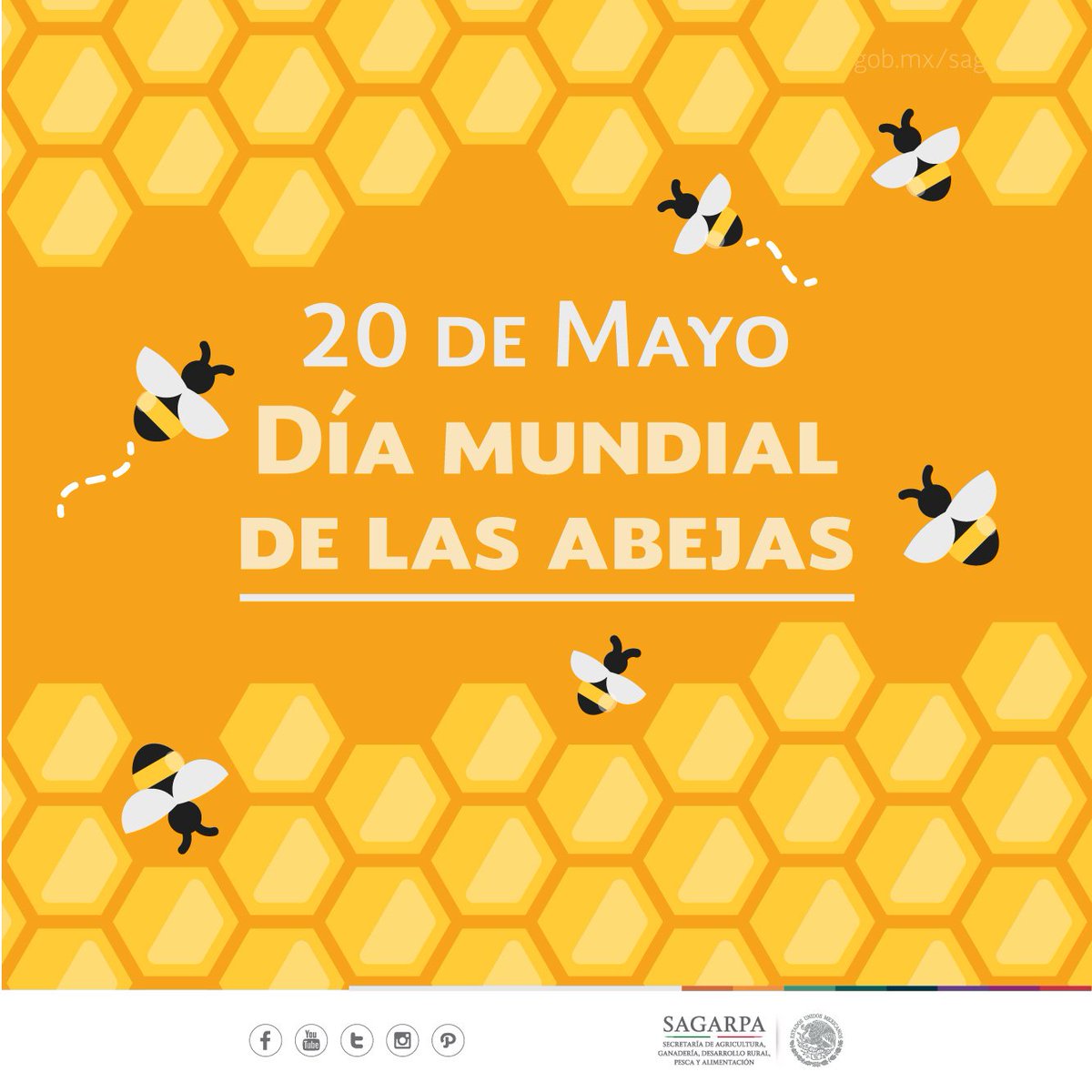 Hoy celebramos el #DíaMundialDeLasAbejas La miel es el único alimento natural que no caduca ow.ly/PRfR30bTqxM 🐝🐝🐝🍯