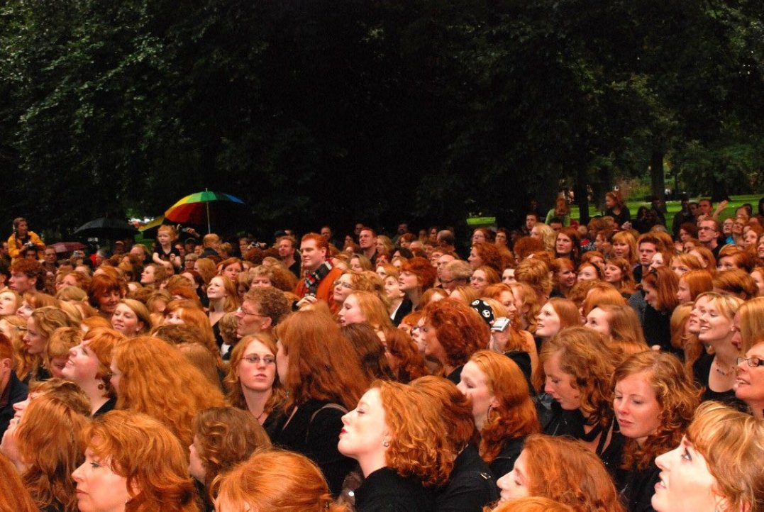 LORD_JIMOTHY's tweet photo. #GingerFest is coming! https://t.co/o0CEkJwy0g