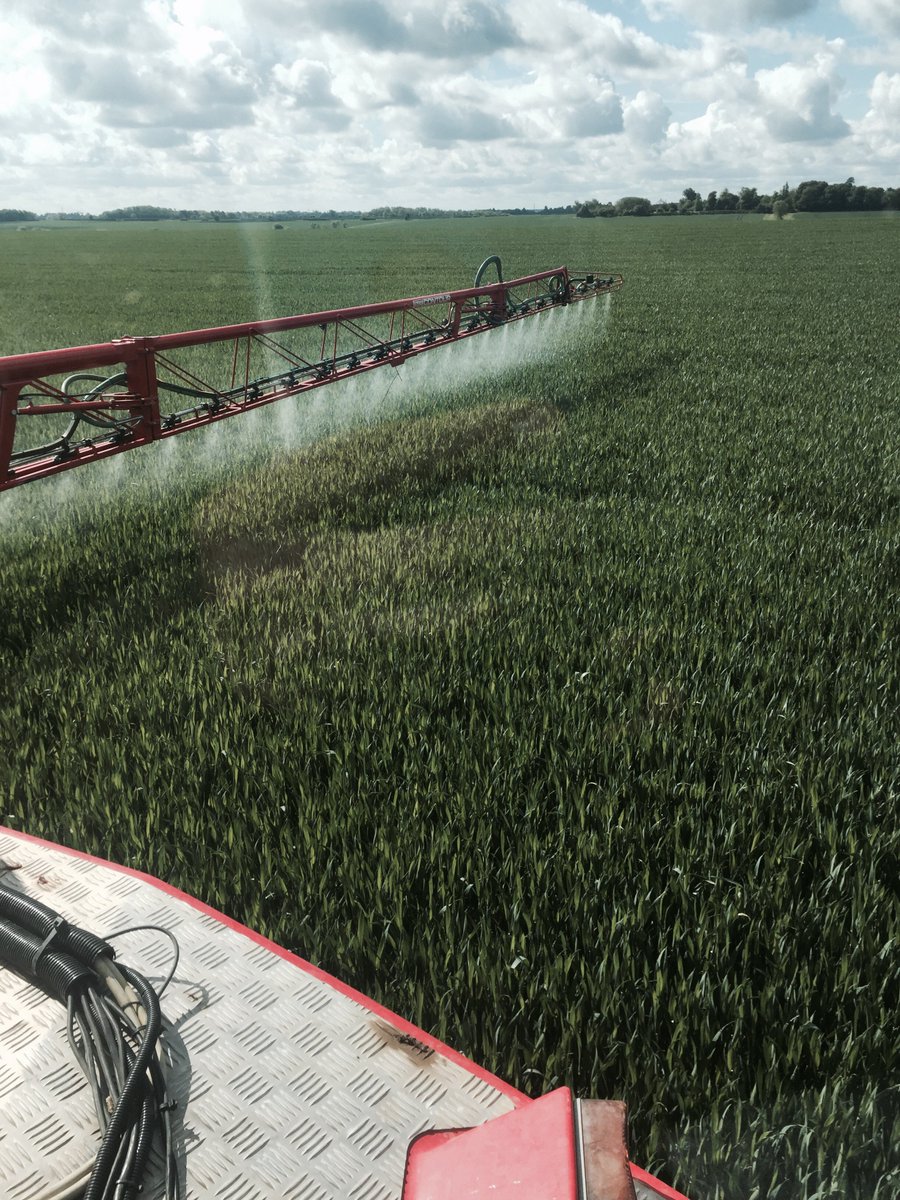 FarmerLutey's tweet image. T2 on wheat this morning. Looking better now it's had a drink. #realresultscircle #basf