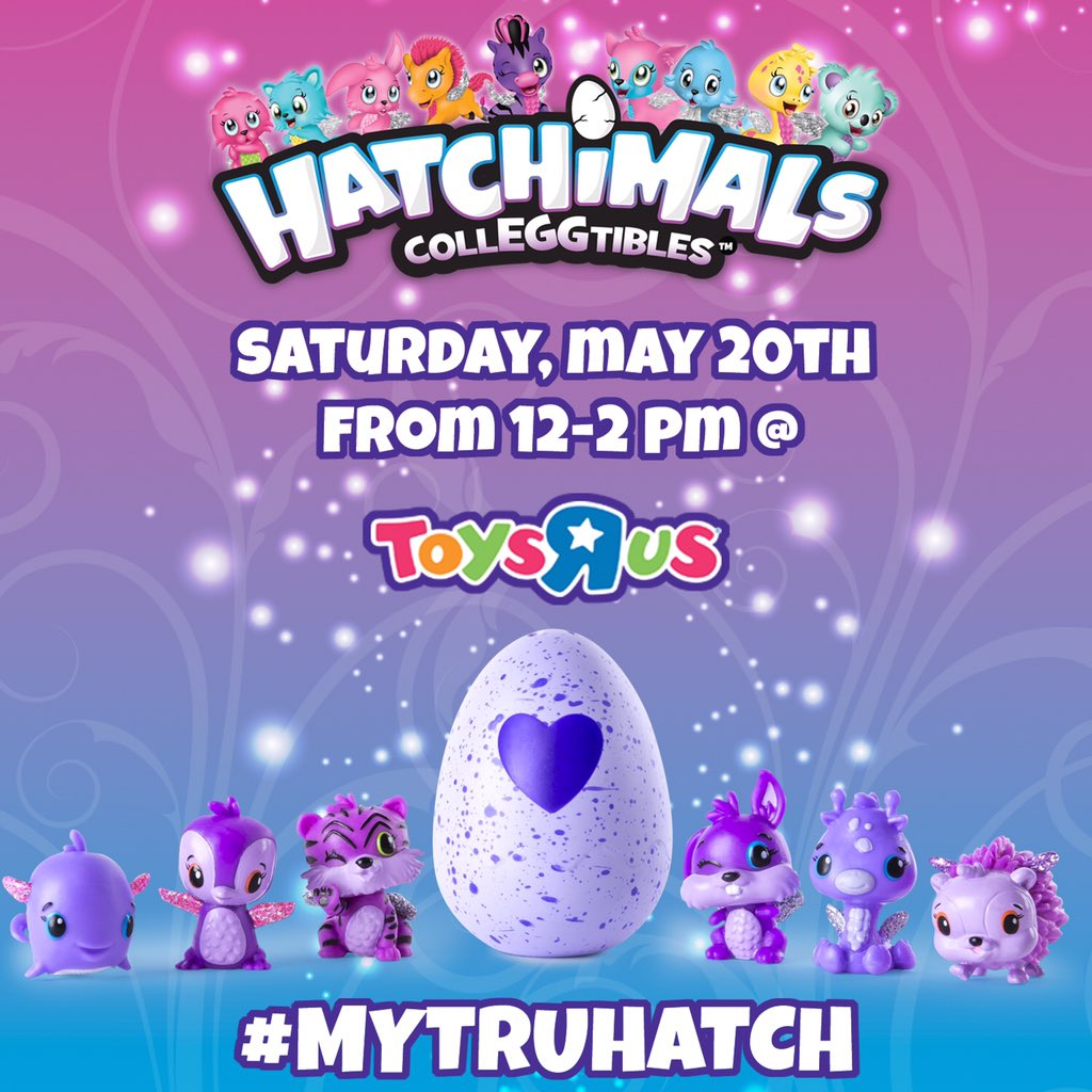 spin master toys r us