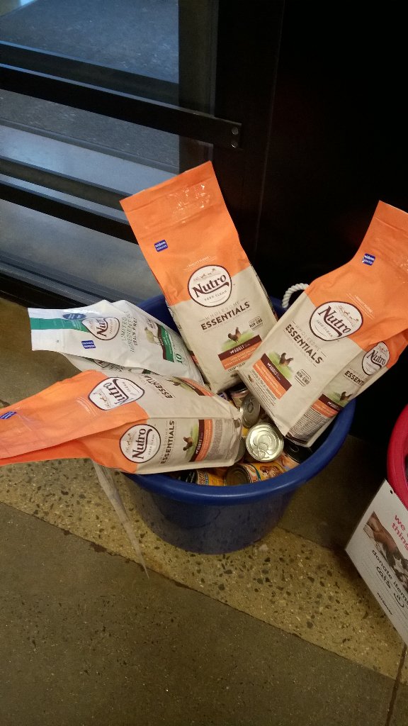 PetSmart #2392 tweet media