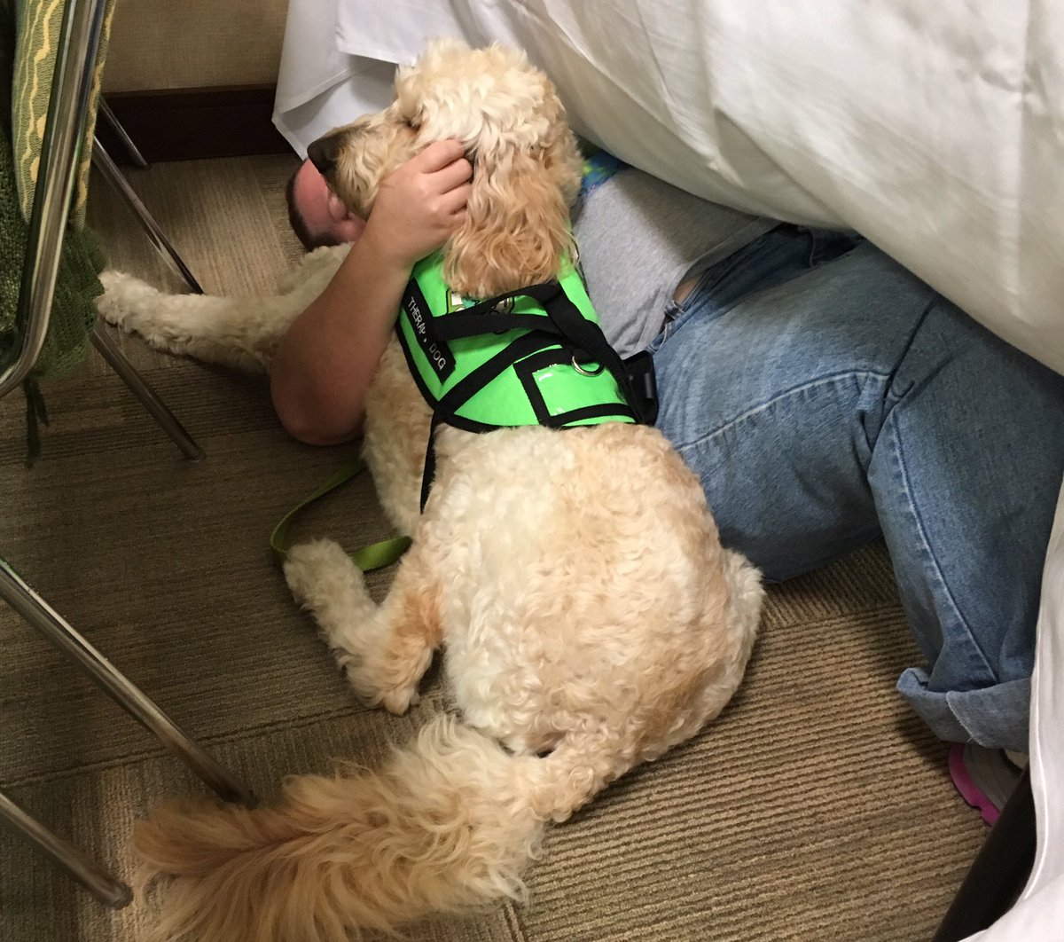 GDUTeam's tweet photo. And then this happened.  And I could not be a prouder Team Mate.   #BlogPaws #GDUTherapyDog https://t.co/9hkSooyYJx