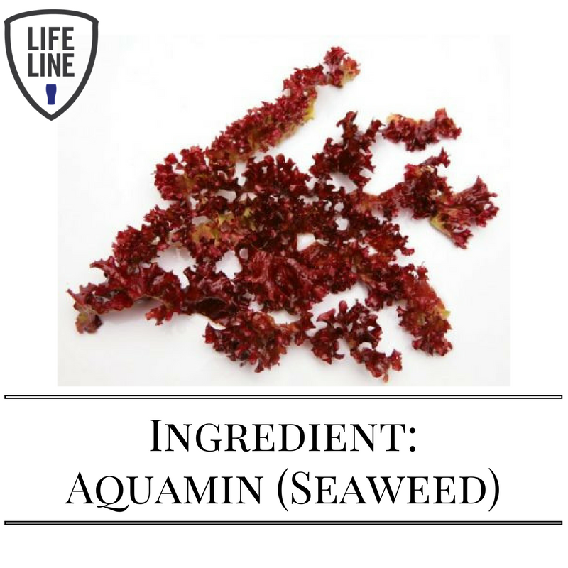 lifeline_hd's tweet photo. What is in LifeLine Hangover Defence?

#2 Aquamin is a unique alkaline ingredient harvested from Kelp. https://t.co/fgYkSEwNaR