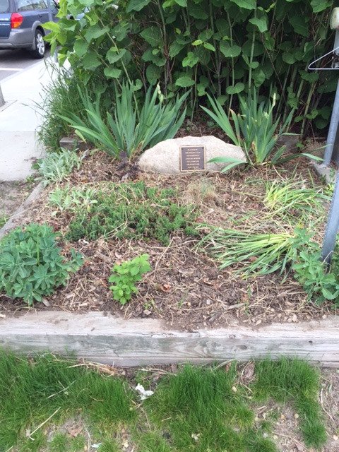 Wakefield_RI's tweet photo. Wakefield Rotary community service garden clean up and planting  on Main St. Wakefield/Bike path (before and after).  Beautiful! https://t.co/vYn6GFqrMJ