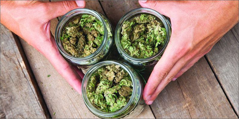 NCWomenCannabis's tweet image. 5 Tips For Talking To Your Loved Ones About Medical Cannabis - buff.ly/2rBgfGC @HERBworthy
