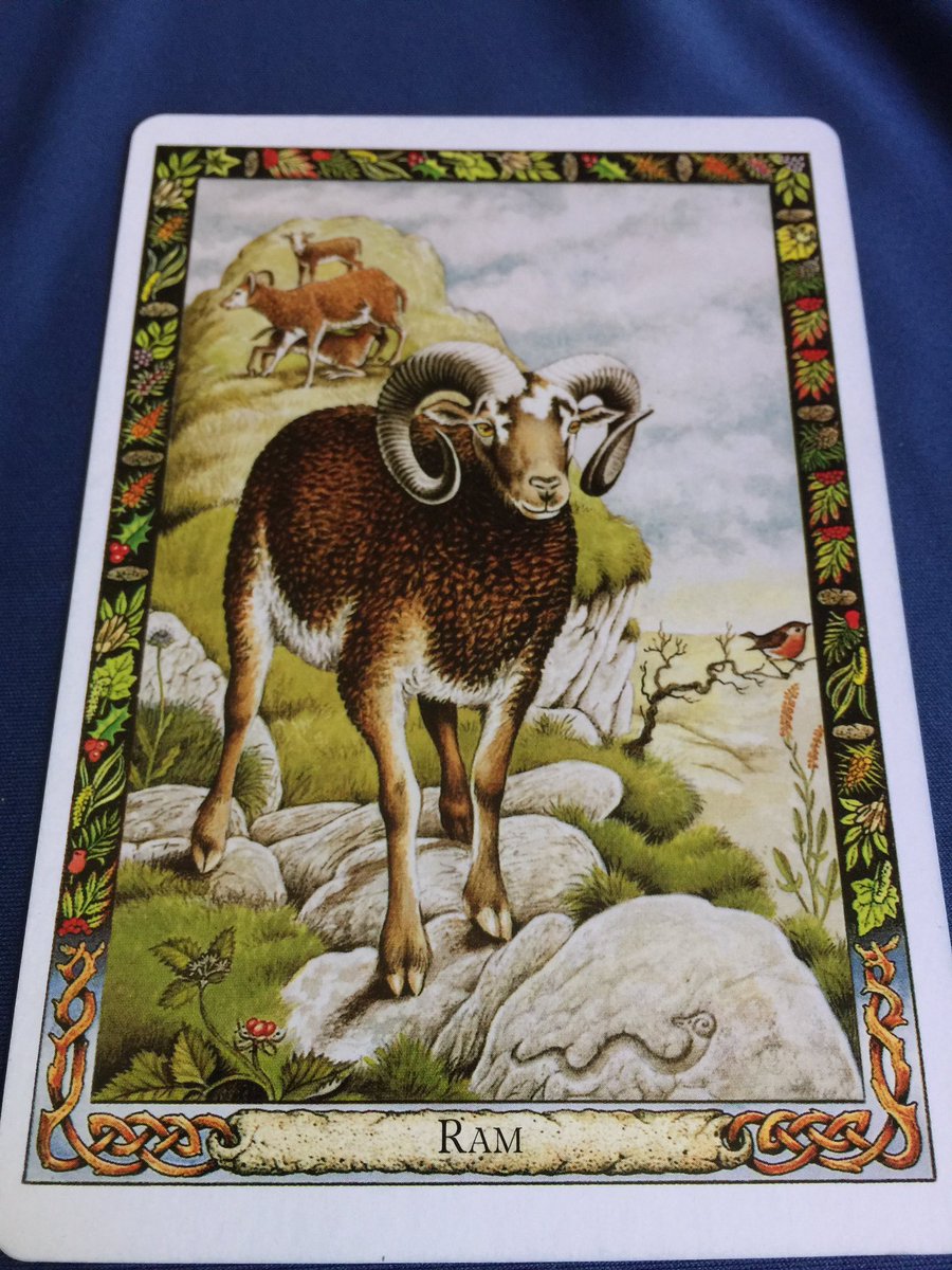 GhostQueenPara's tweet image. #DruidAnimalOracle ~ Sacrifice, Breakthrough, Achievement