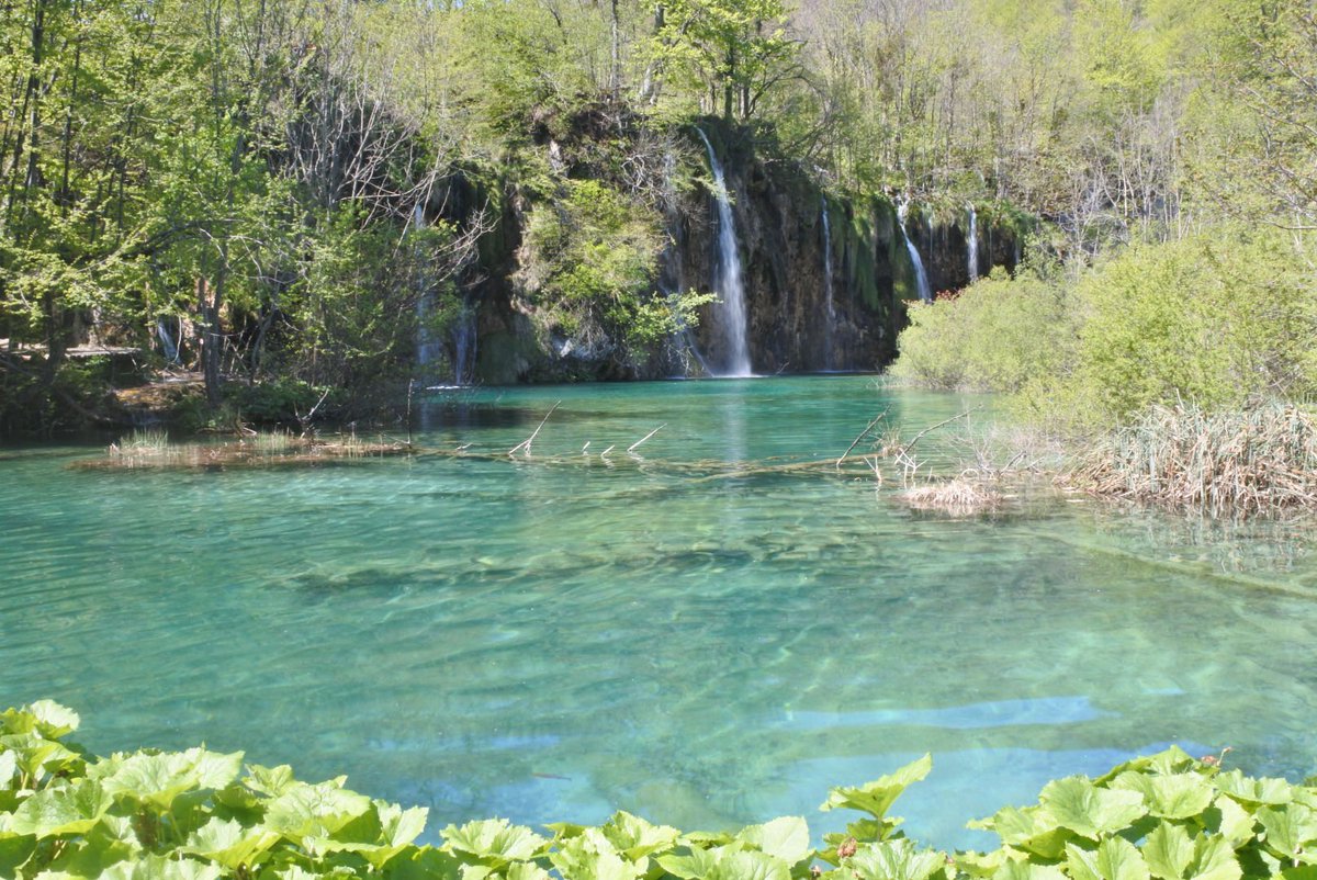 noonajar's tweet photo. น้ำใสไหลเย็นเห็นตัวปลา #plivice #croatia https://t.co/8ogC5Iorvm