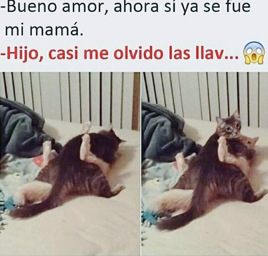 ChristianCre's tweet image. 