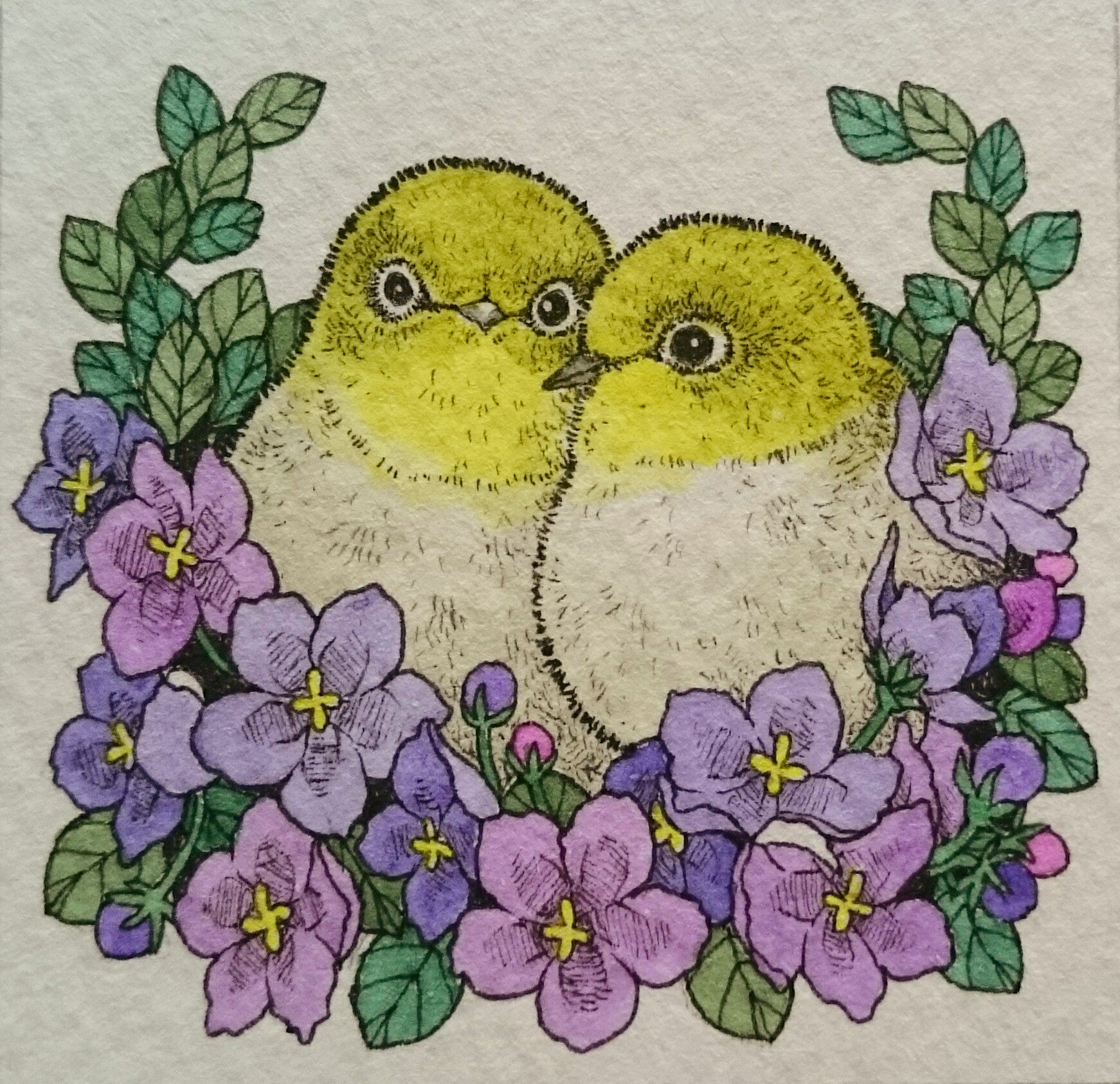 すぎやまゆき 今日から誕生花イラスト描いていこうとおもいます お花の種類や勉強もかねて 不定期 5月日は セントポーリア 花言葉 はぐくむ愛 メジロ イラスト ペン画 Illustration Gallery 絵描きの輪 絵描き人 T Co