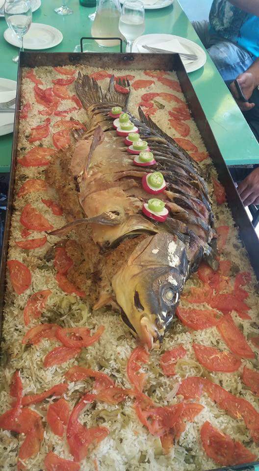 RVojvodine's tweet photo. Uzivajte u ribljim specijalitetima pored Dunava! #Harcas #apatin #carda #restoranivojvodine https://t.co/cAe3L4fwde