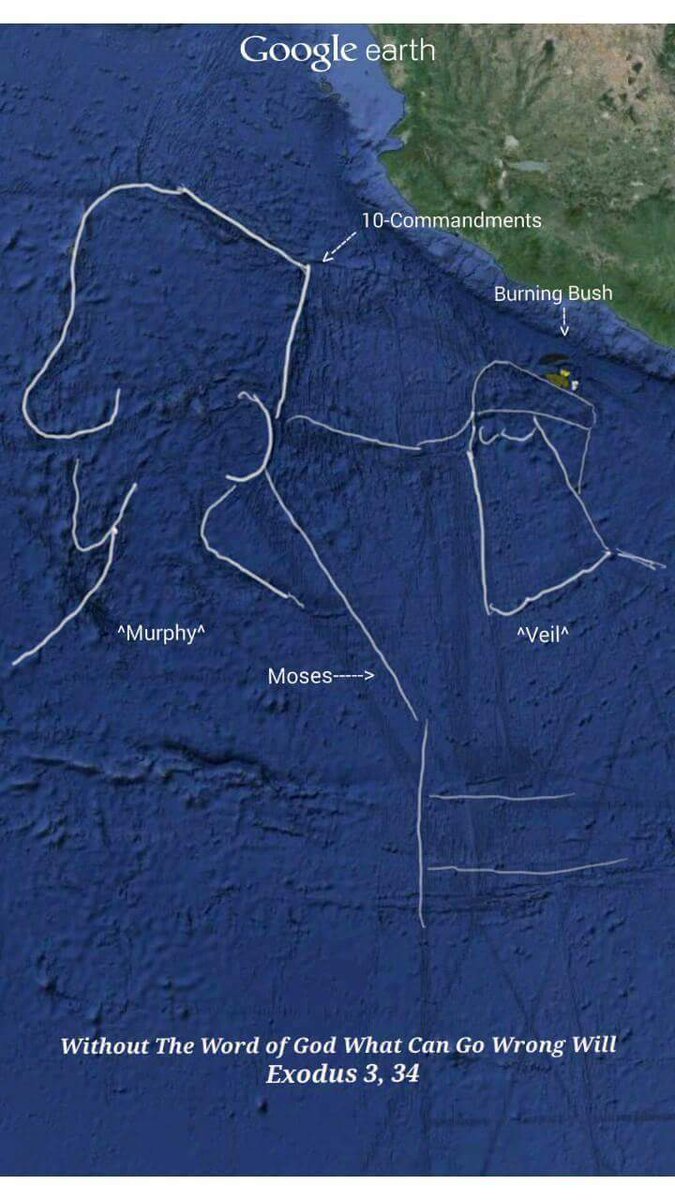 ASpiritofTruth's tweet image. Without the Word of God anything that can go wrong, will go wrong!