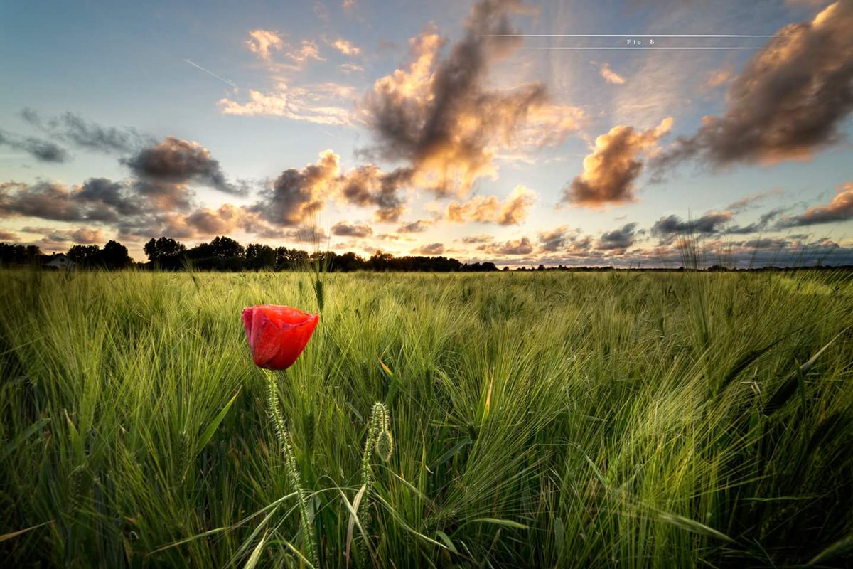 Bigand Florian tweet media