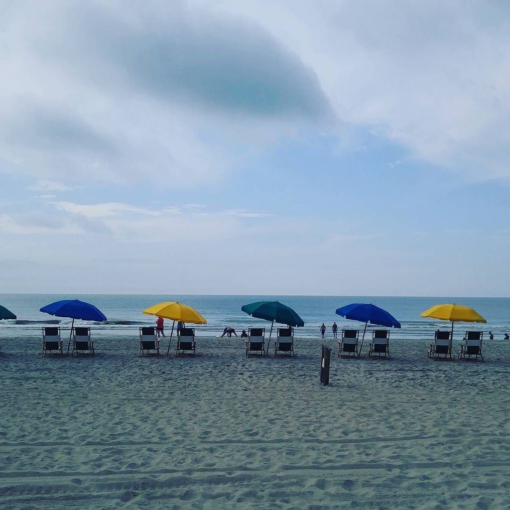 mypawsitivepet's tweet photo. Made sure to visit the beach this morning. 🌞 Found some sea shells for my human daughter. Beautiful beach! #BlogPa… https://t.co/Ff5rU3WVnj https://t.co/iOcnYyIs26