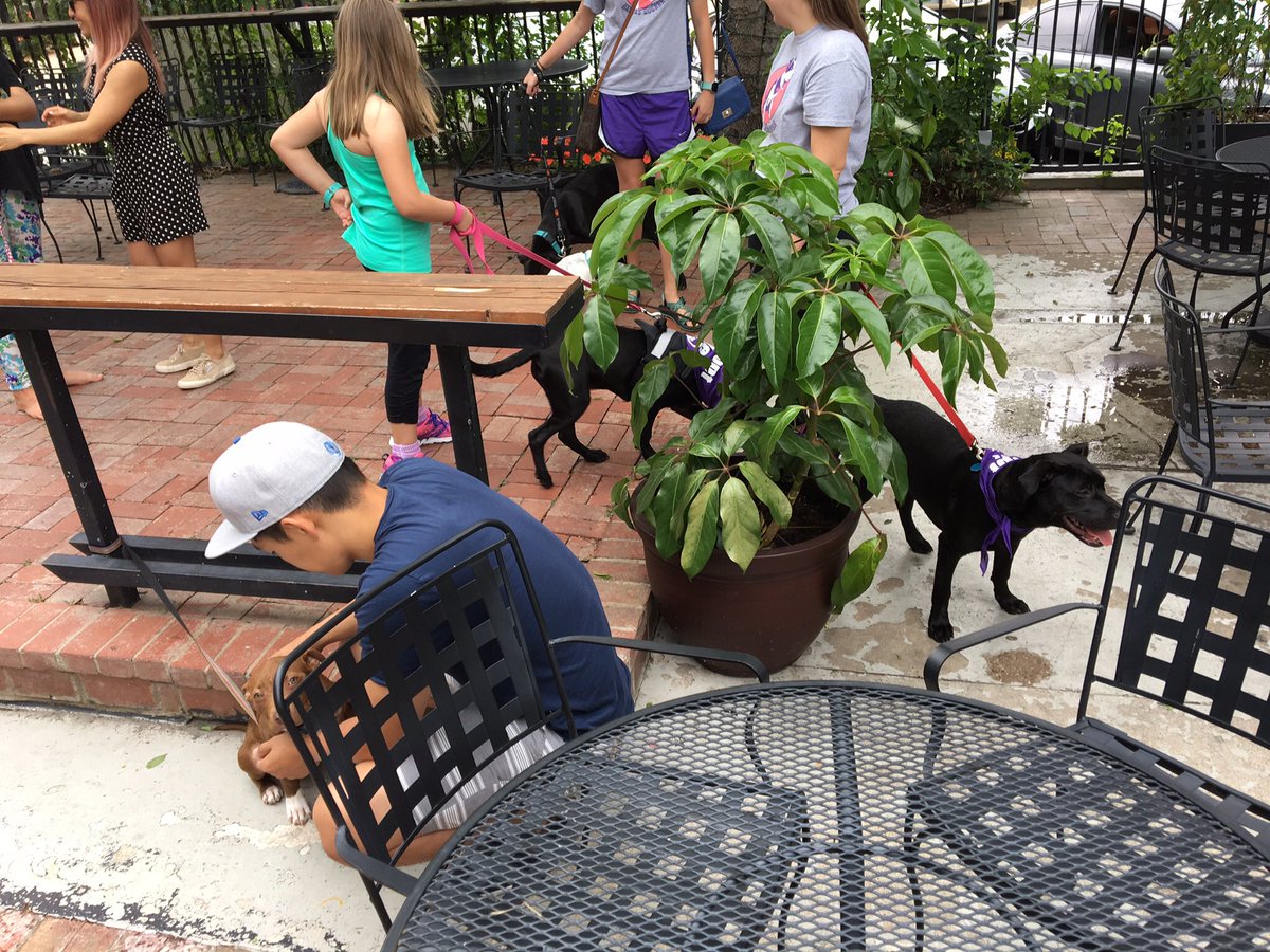 LGTAPSTAVERN's tweet photo. Dogs at taps come now while no rain https://t.co/PWgj57KOy4