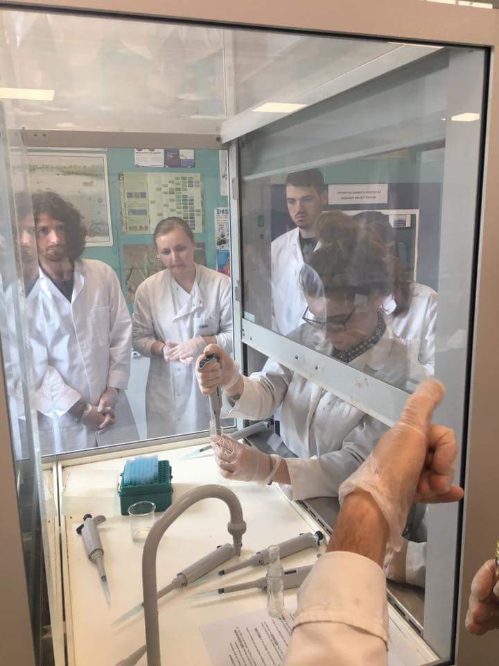 swmarinefest's tweet photo. More experimentation in the lab 😊 Yesterday's test subjects were blue mussels! #blueshark @landbased_SDC @ConservationTCP @SharkTrustUK https://t.co/Qw8z0zq5oC