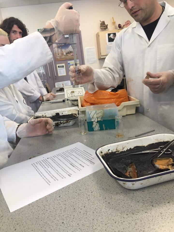 swmarinefest's tweet photo. More experimentation in the lab 😊 Yesterday's test subjects were blue mussels! #blueshark @landbased_SDC @ConservationTCP @SharkTrustUK https://t.co/Qw8z0zq5oC