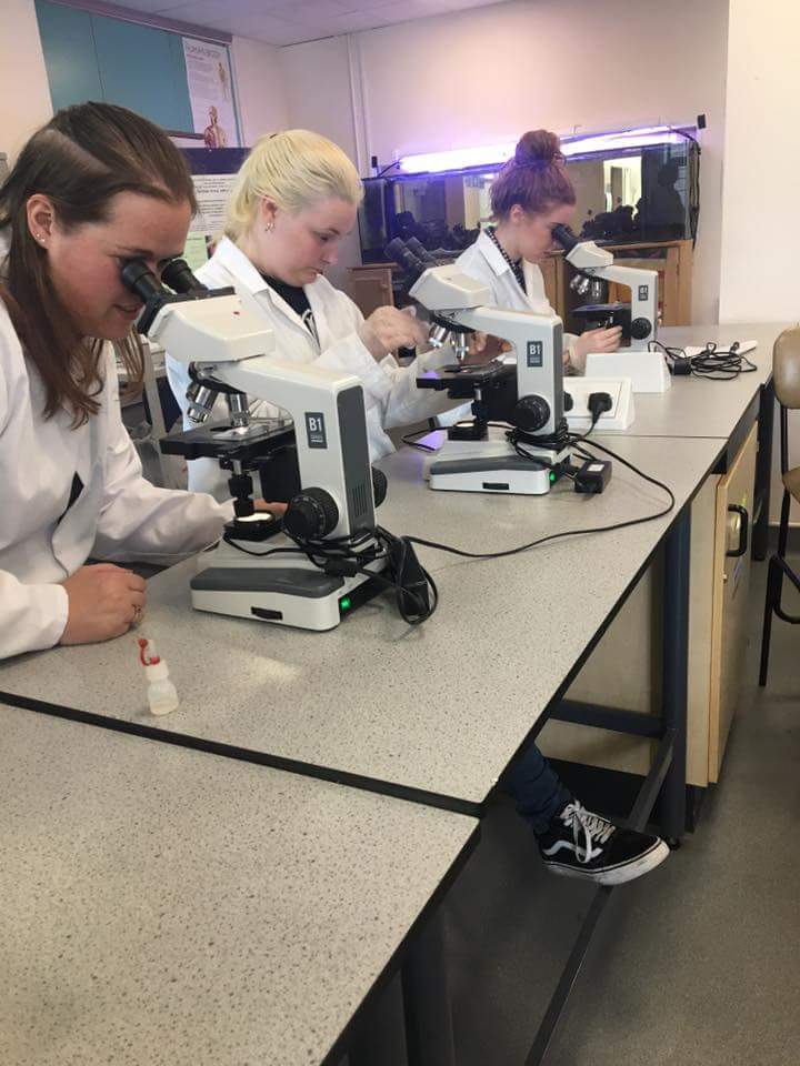 swmarinefest's tweet photo. More experimentation in the lab 😊 Yesterday's test subjects were blue mussels! #blueshark @landbased_SDC @ConservationTCP @SharkTrustUK https://t.co/Qw8z0zq5oC