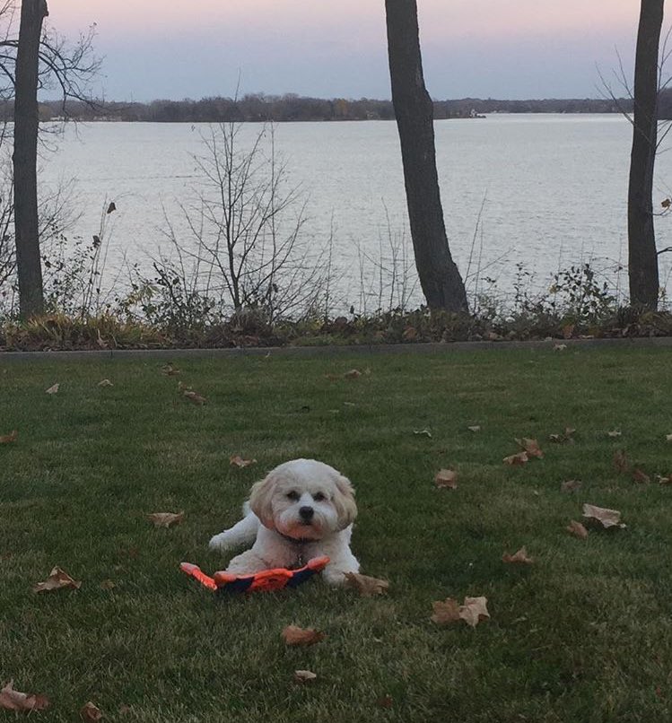 SydWags09's tweet photo. @CharlieSir4 We already have a charlie 😐 https://t.co/E1rrlK4U96