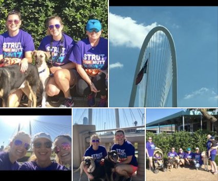 HingeDigital's tweet image. Thanks @Integer Dallas for hosting Hinge. A lot to like about Integer. The best is they support SPCA. #integerdallas #strutyourmutt.  ❤️