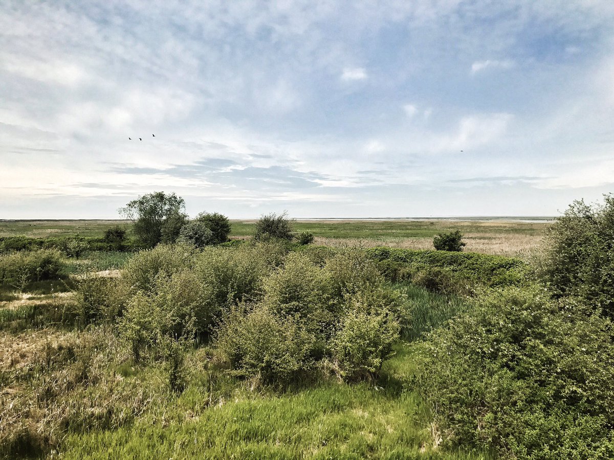 Mengsstudio01's tweet photo. For one sec I thought I was in utopia #hikingadventures #birdwatching #photography #NatureisAmazing https://t.co/nN1xnXG8W8