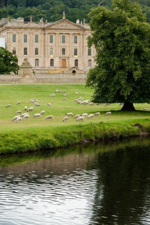 PicStreetFR's tweet photo. Chatsworth House, UK (by Jacqueline Poggi) / https://t.co/gT6WqKib6l #travel #voyage #photography #tourism https://t.co/1mDh2ybfgi