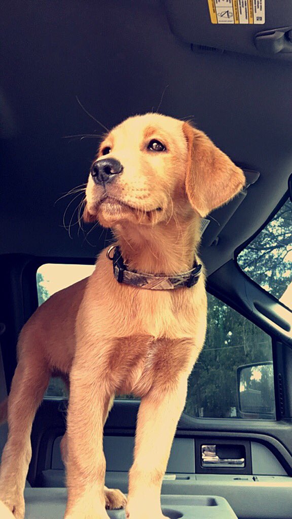 skylerkhanna's tweet photo. My best friend❤️ https://t.co/iqF9DrlkoR
