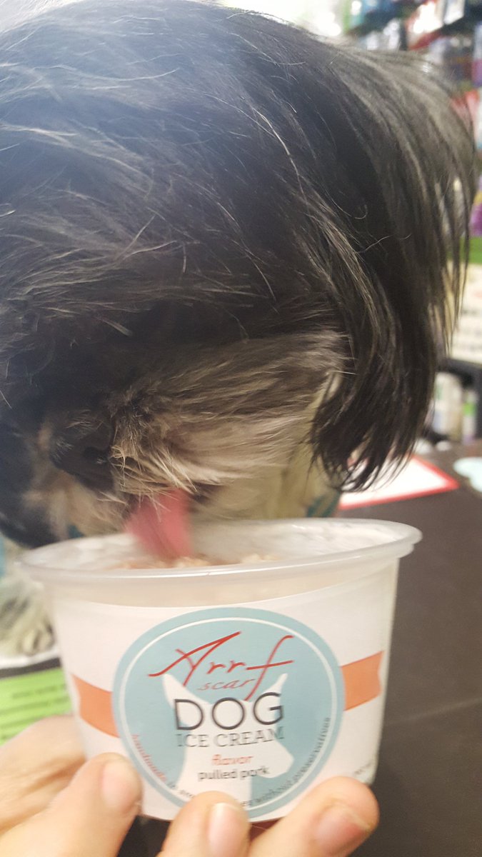 BarkBarkClub's tweet photo. Wednesday, Teddy, Chucka, and Hyacinth lovin ice cream #livelikeroo #arrfscarf #barkbarkclub https://t.co/lypDZsJawQ