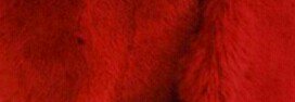 LogoPacks's tweet photo. Pack Kendall Jenner 2/5 

Fav se gostar
Rt se Salvar
Créditos se usar

-Kassy https://t.co/PWE0TywSkA