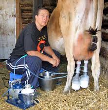 لافاشكيري tweet media