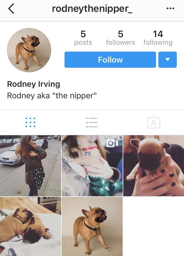 rodneythenipper's tweet photo. Check my Instagram laddys, from Winsford with love #Woof https://t.co/cI1UEv2rVv