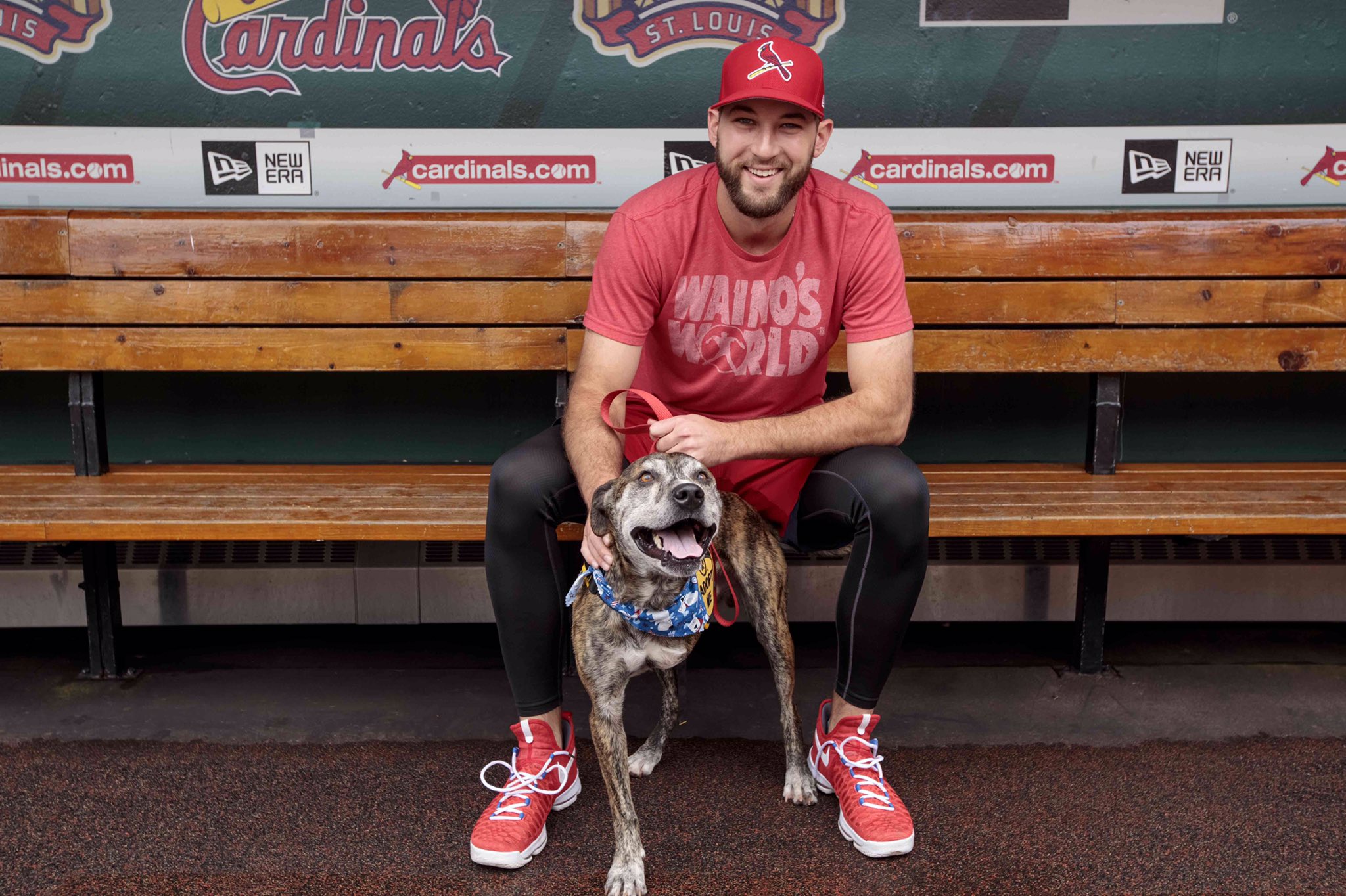 St. Louis Cardinals MLB Dog Leash