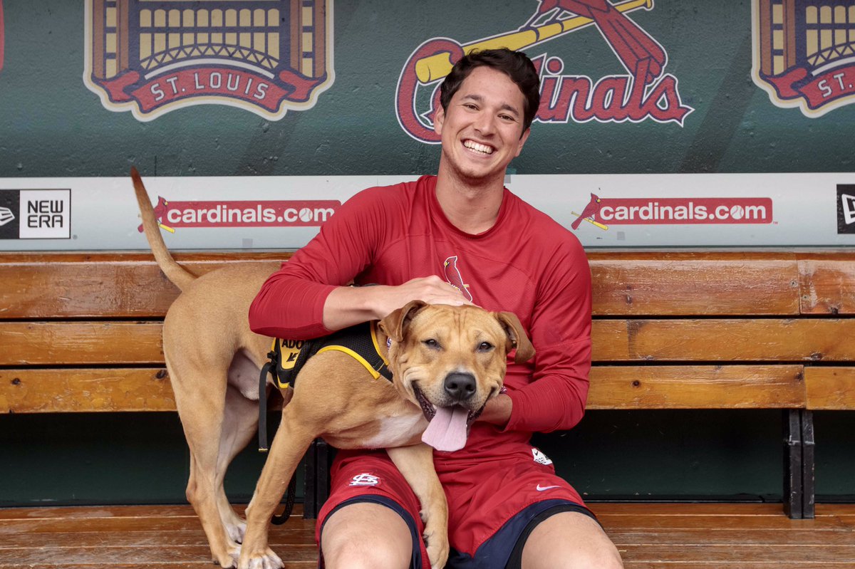 Cardinals's tweet photo. Baseball players and dogs. 😍 

@APAofMO https://t.co/fy2vJOyaxt