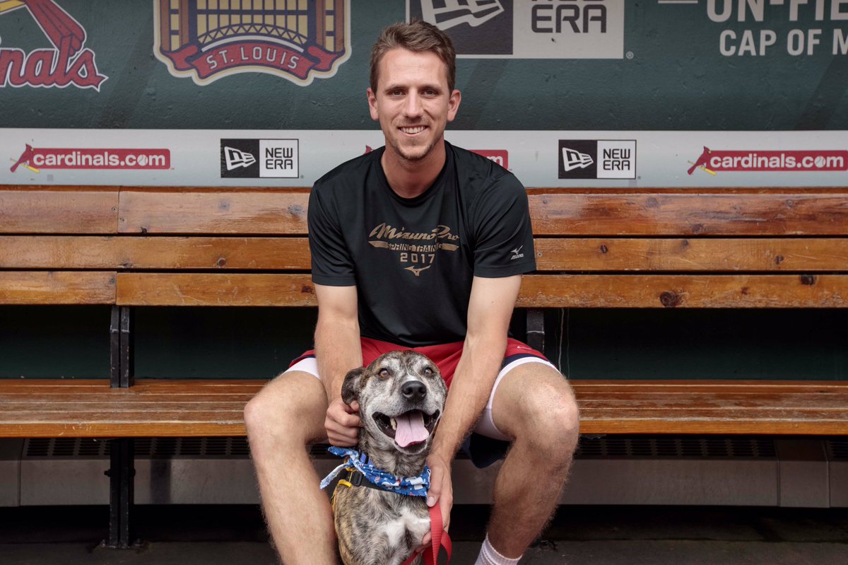 Cardinals's tweet photo. Baseball players and dogs. 😍 

@APAofMO https://t.co/fy2vJOyaxt