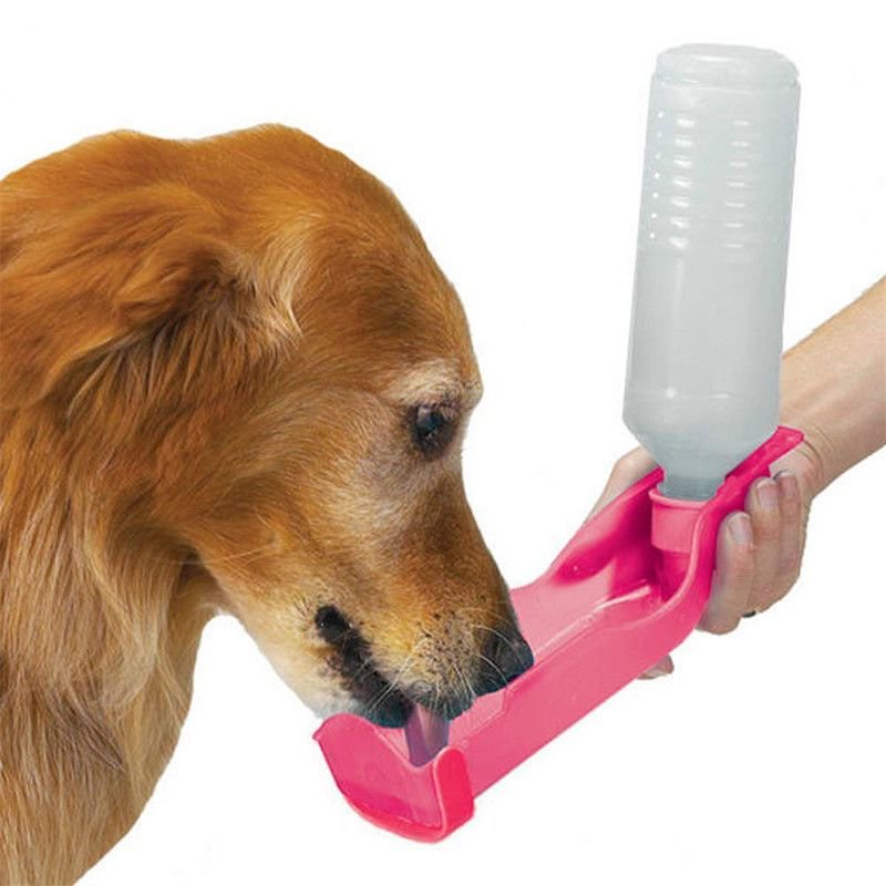 Tomlypets's tweet photo. #dogs #pets #Tomlydogs #IfYouSeeMeInRealLife #dogslife #dogsofinstagram
https://t.co/J3XasSt2Ku https://t.co/cD0edVP5e2