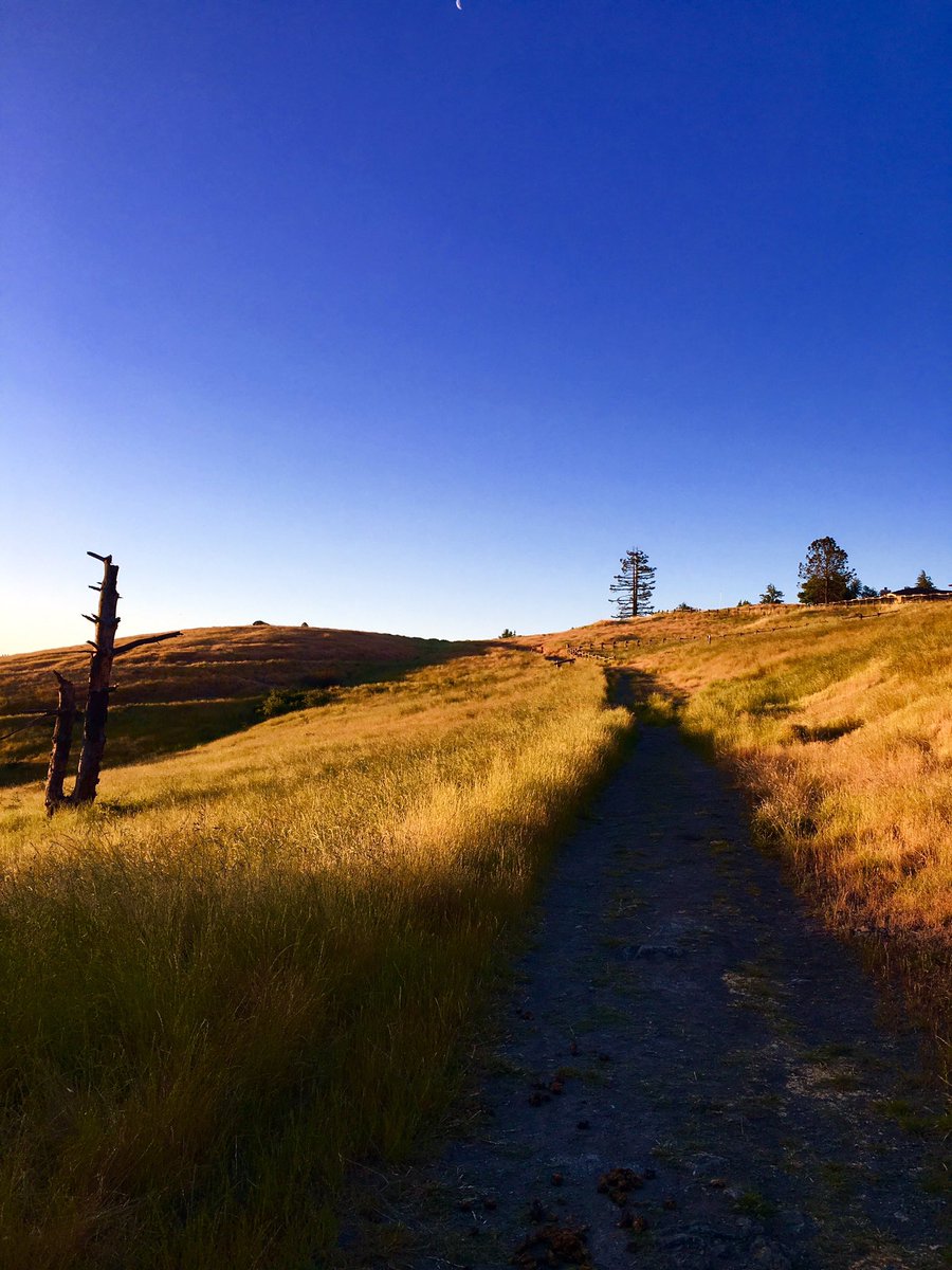 rundemtrails's tweet image. 13 miles with 5218 elevation change 

New trails &amp;amp; a gorgeous morning 😃

#sunrise #trailrunning #explore