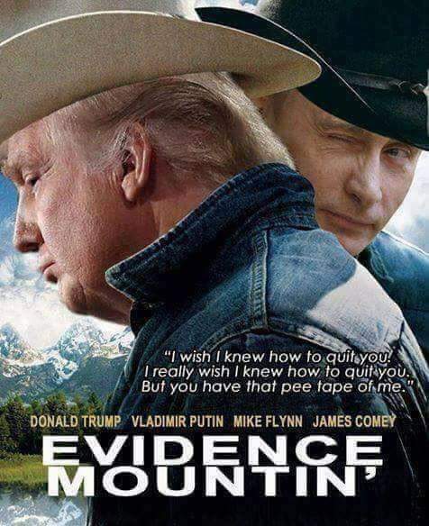 TheDewness's tweet photo. #ImpeachTrump #DumpTrump #RESIST #TrumpRussia #IndependentCouncil #SpecialCounsel #SpecialProsecutor #LockHimUp https://t.co/tNZDaWs5RC