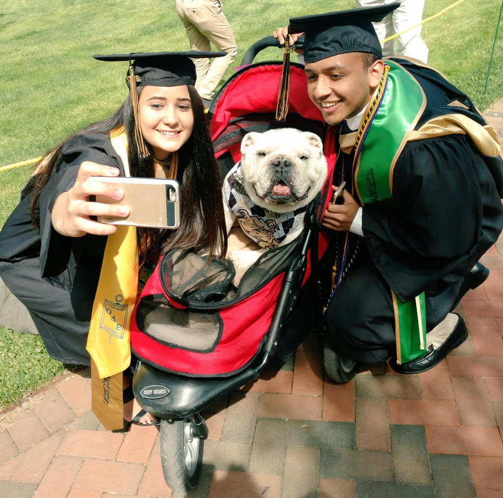 BryantTuppy's tweet photo. Yeah, we graduating! #BryantGrad2017 #selfiesaturday https://t.co/8rYioc5Wwc