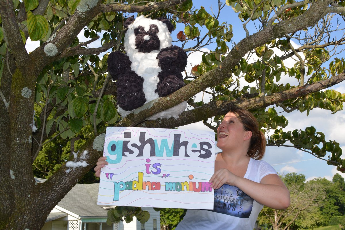 TheWaywardNerds's tweet photo. #padna #gishwhes #thewaywardnerds https://t.co/rVB78CPd2U