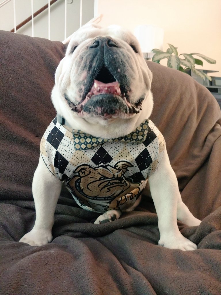 BryantTuppy's tweet photo. And that's gonna do it for me this year.... Peace out!! #BryantGrad2017 https://t.co/lT1OYEQ5pg