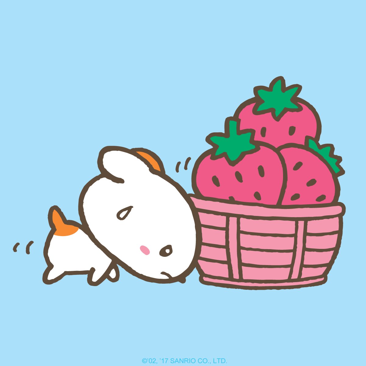 Sanrio on X: It's #PickStrawberriesDay! Fun fact: Puchipuchi Wanko is the  size of three strawberries. t.cokWqaNLDbk9  X